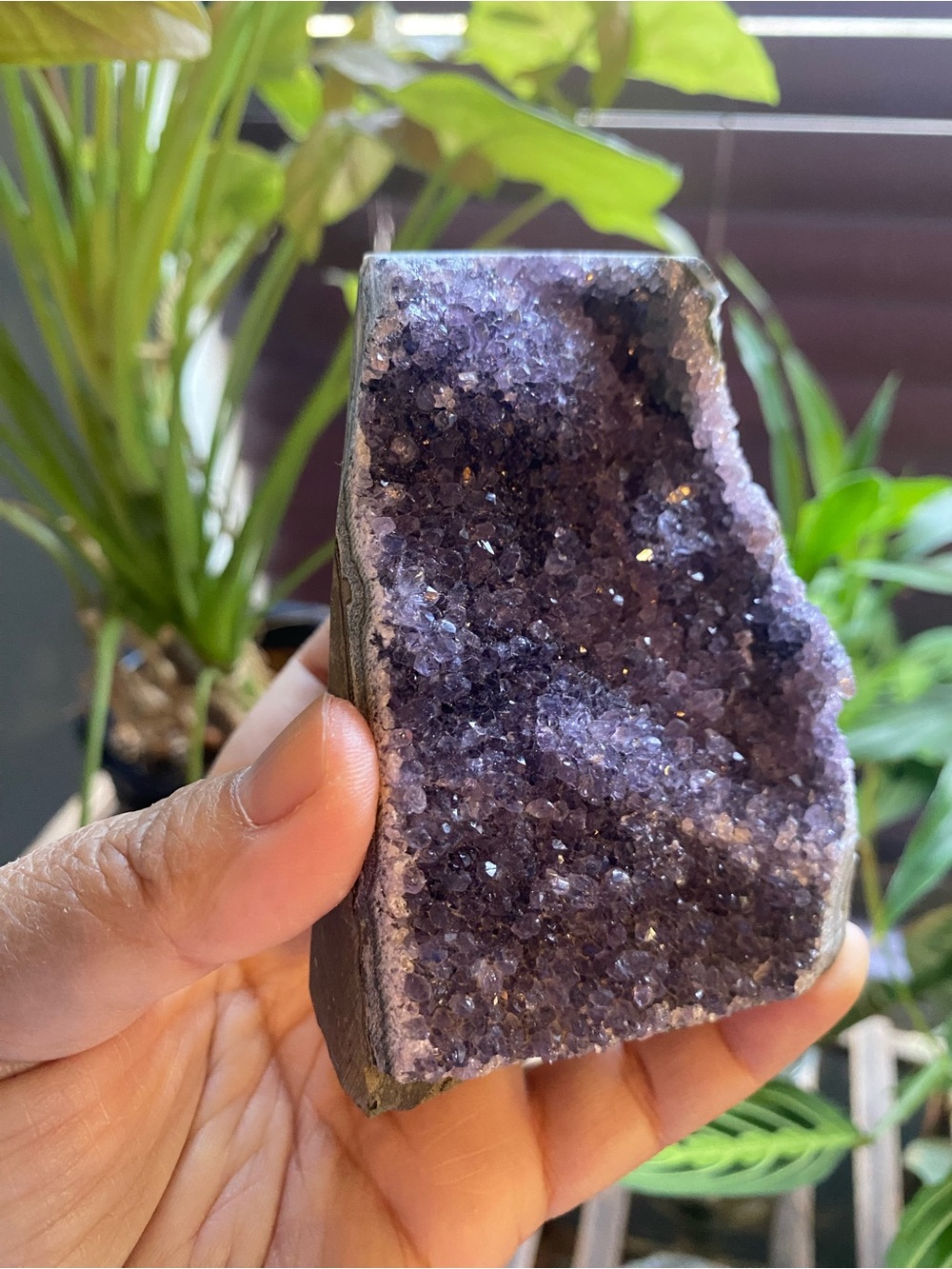 Amethyst Crystal Cut Base Cluster